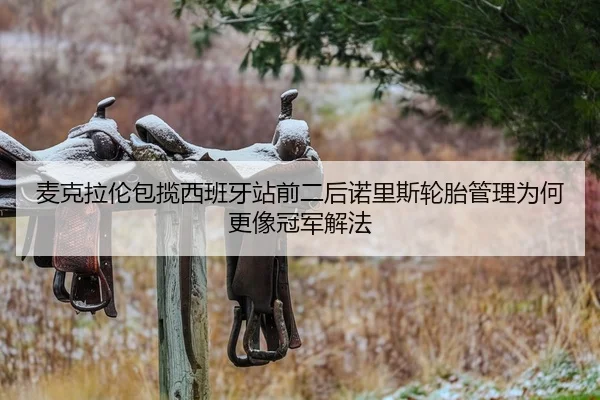 mai-ke-la-lun-bao-lan-xi-ban-ya-zhan-qian-er-hou-nuo-li-si-lun-tai-guan-li-wei-he-geng-xiang-guan-jun-xie-fa-2-774.jpg
