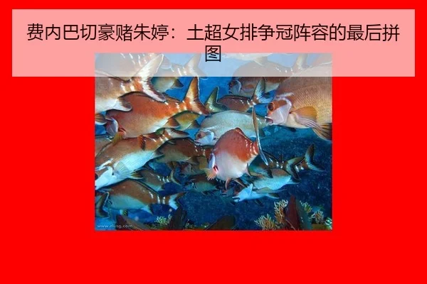 fei-nei-ba-qie-hao-du-zhu-ting-tu-chao-nv-pai-zheng-guan-zhen-rong-de-zui-hou-pin-tu-2-778.jpg