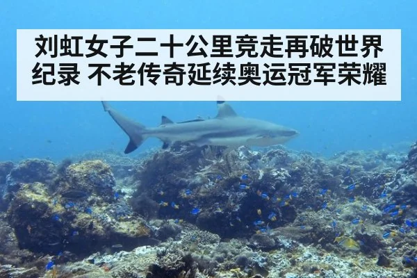 刘虹女子二十公里竞走再破世界纪录 不老传奇延续奥运冠军荣耀