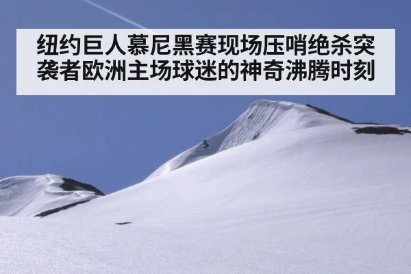 纽约巨人慕尼黑赛现场压哨绝杀突袭者欧洲主场球迷的神奇沸腾时刻